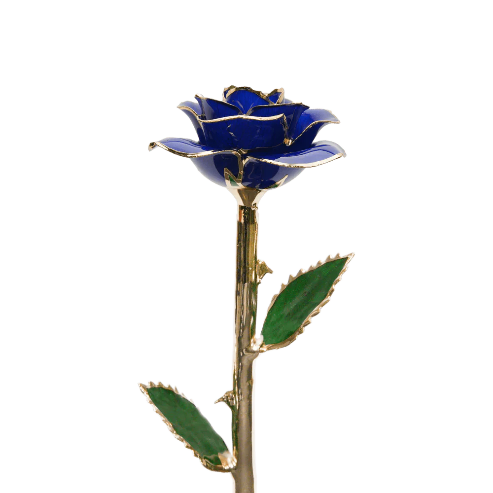 24k Gold Dipped Rose™ - Image 14