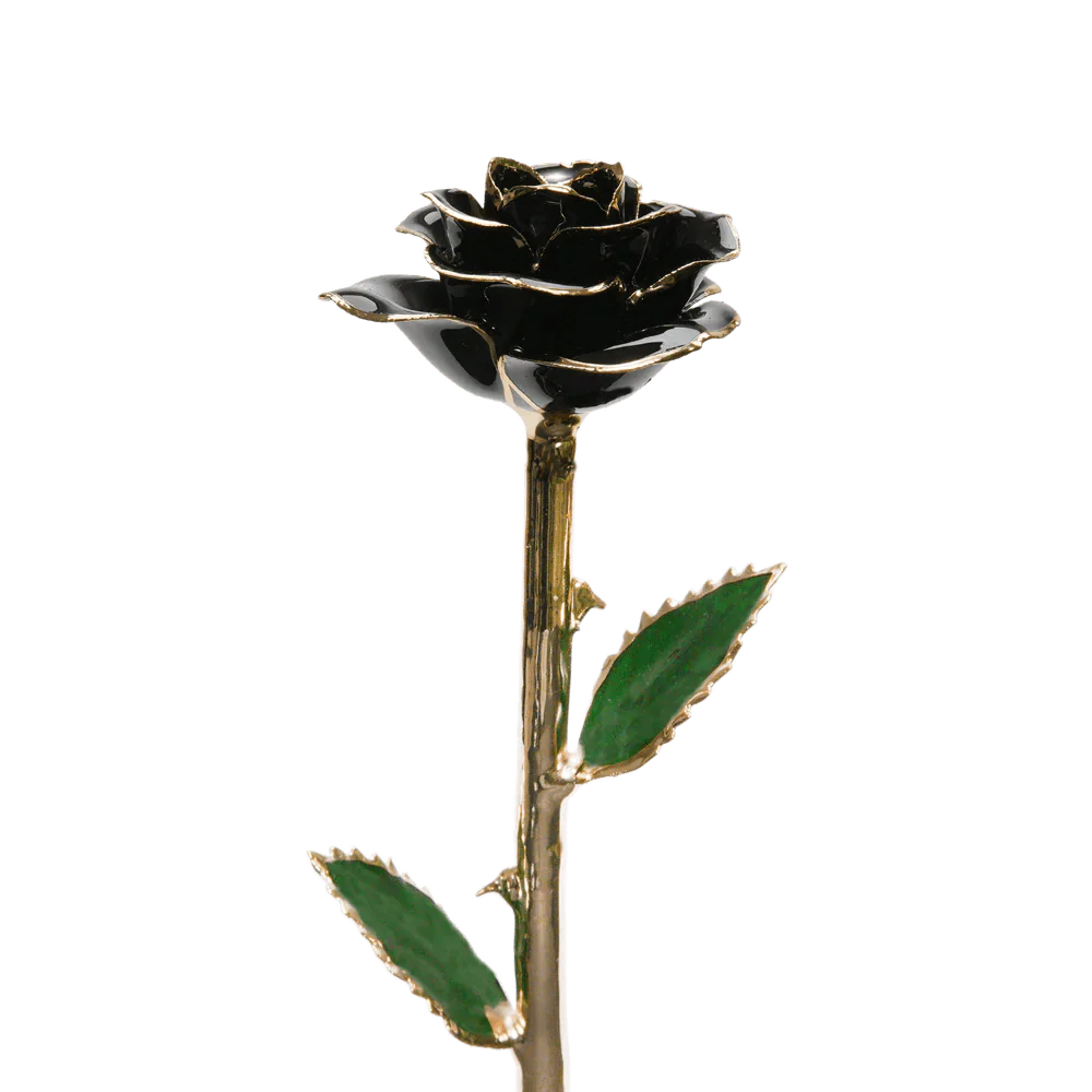 24k Gold Dipped Rose™ - Image 22