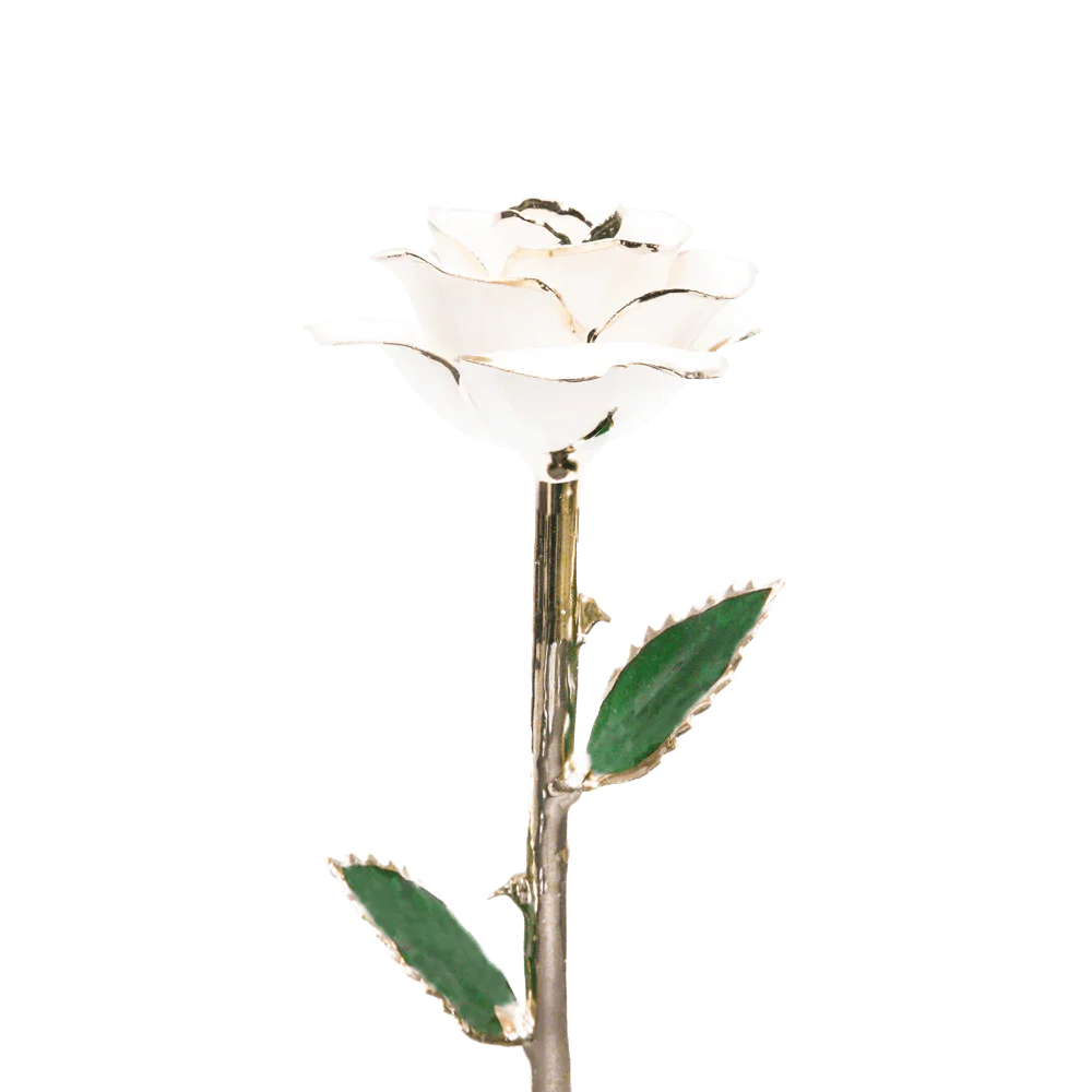 24k Gold Dipped Rose™ - Image 26