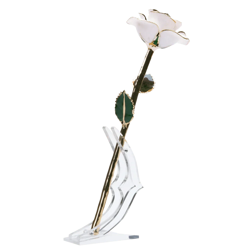 24k Gold Dipped Rose™ - Image 27