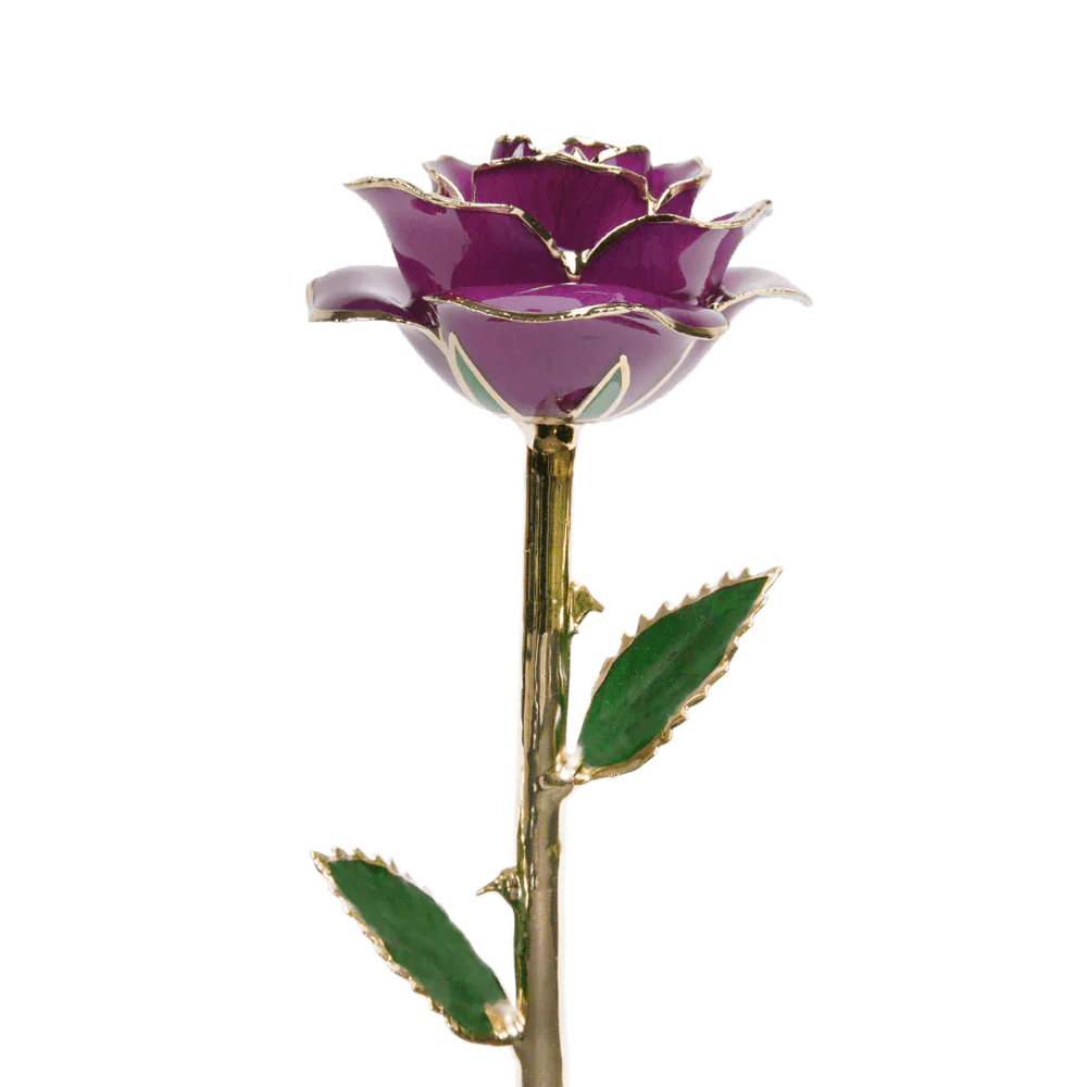 24k Gold Dipped Rose™ - Image 4