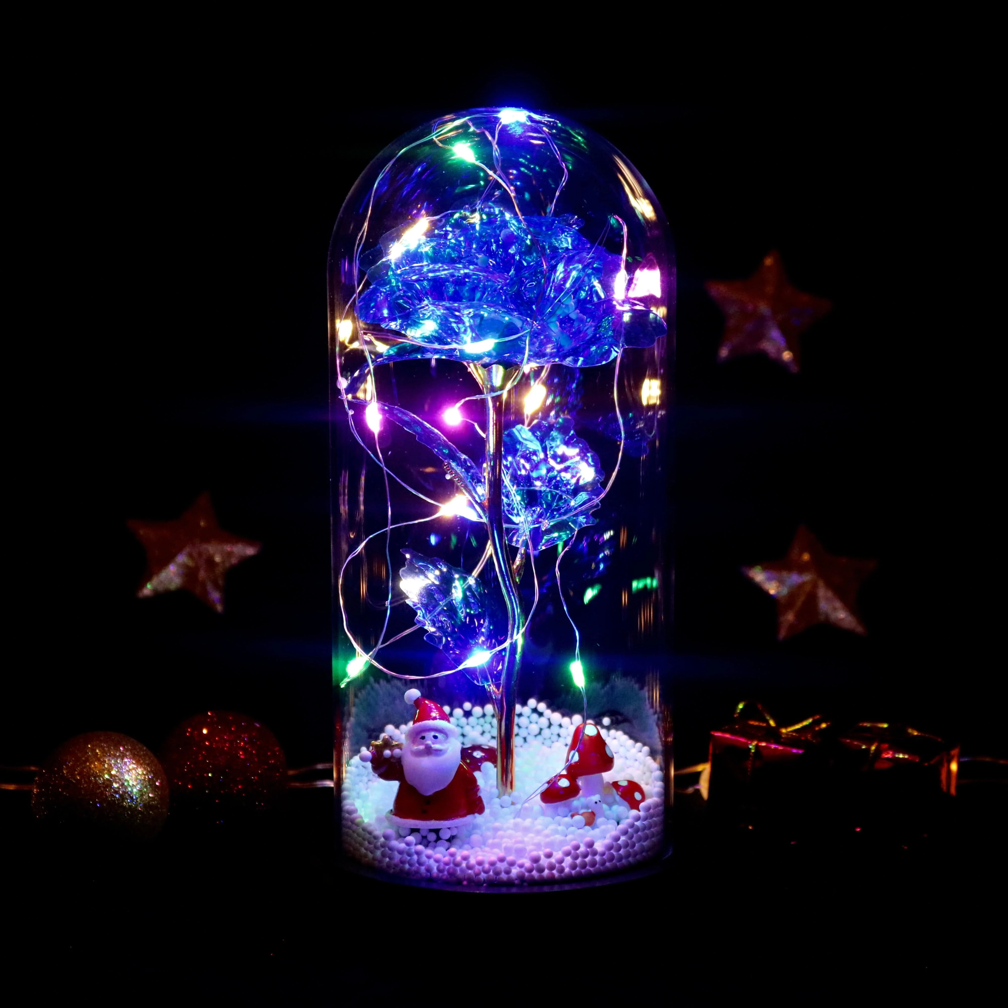 Enchanted Santa Claus Rose - Image 3